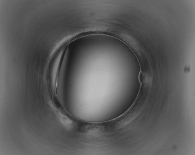 X0000093380676200710111456