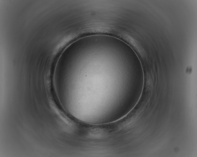 X0000093380677200710111456