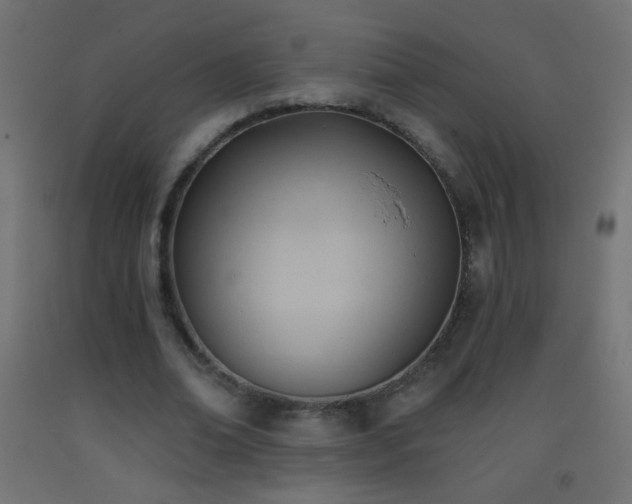 X0000093380678200710111456