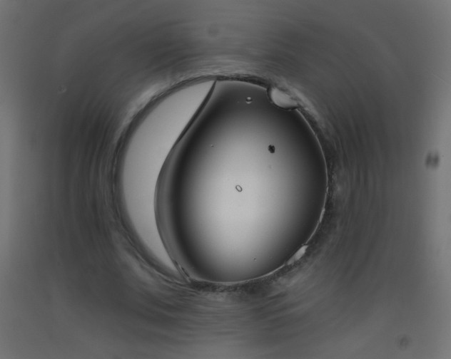 X0000093380679200710111456