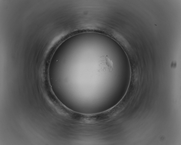 X0000093380680200710111456