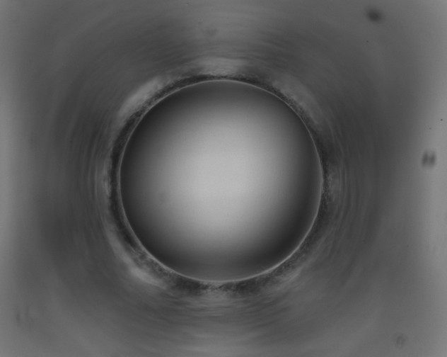 X0000093380682200710111456