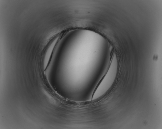 X0000093380683200710111456