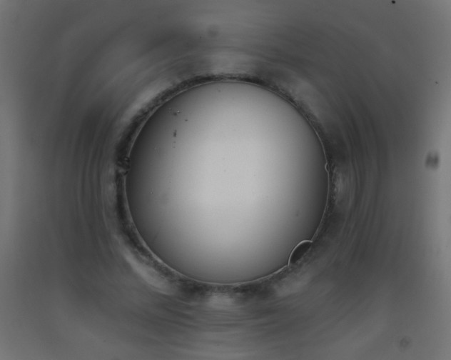 X0000093380684200710111456