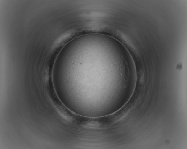 X0000093380685200710111456