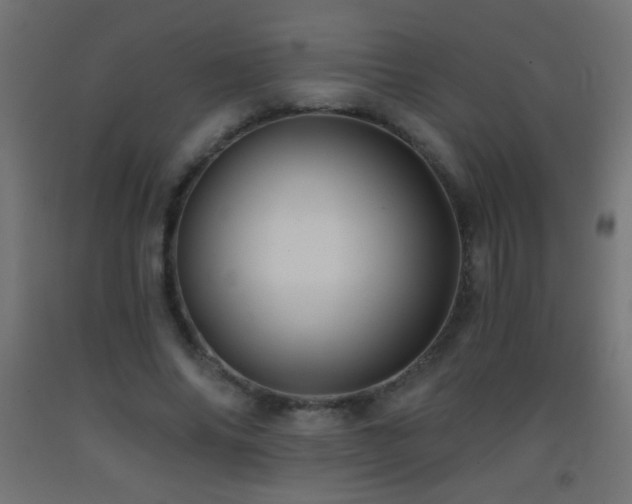X0000093380686200710111456