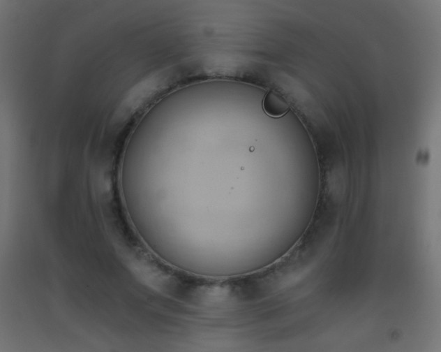 X0000093380687200710111456