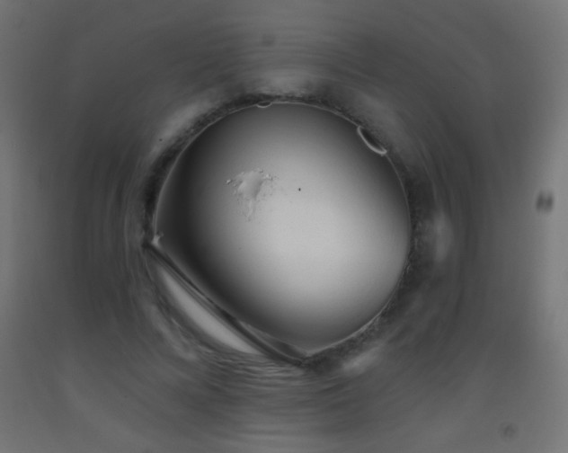 X0000093380688200710111456
