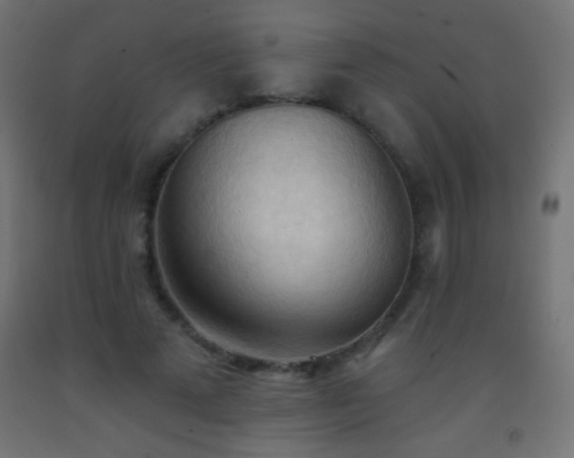 X0000093380689200710111455