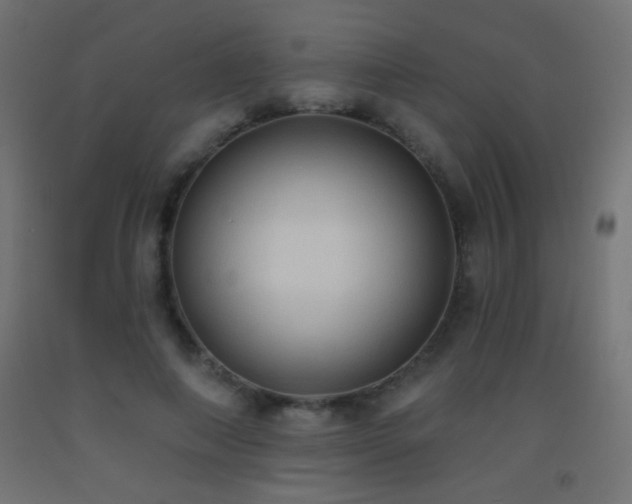 X0000093380690200710111455
