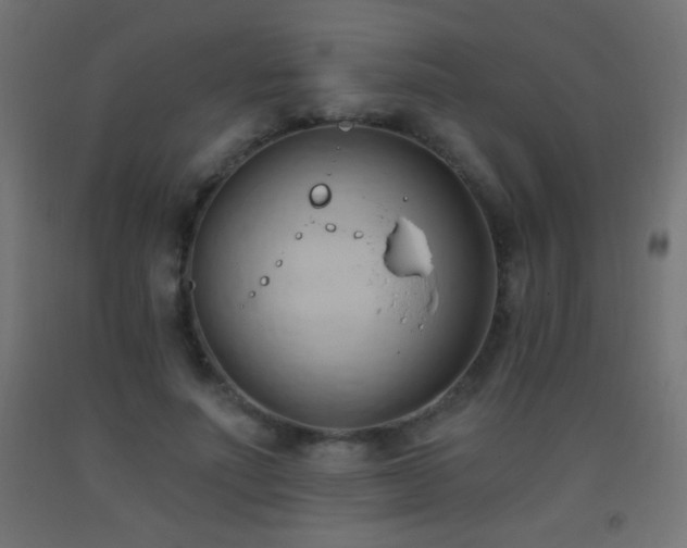 X0000093380691200710111455