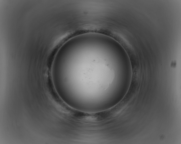 X0000093380692200710111455