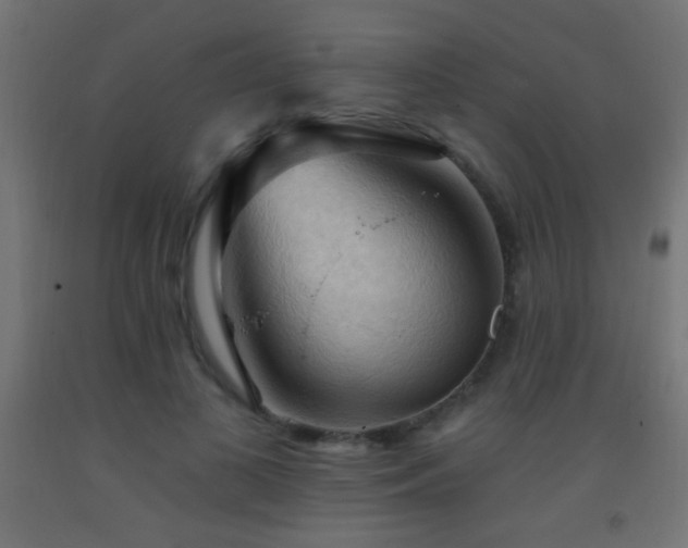 X0000093380693200710111455