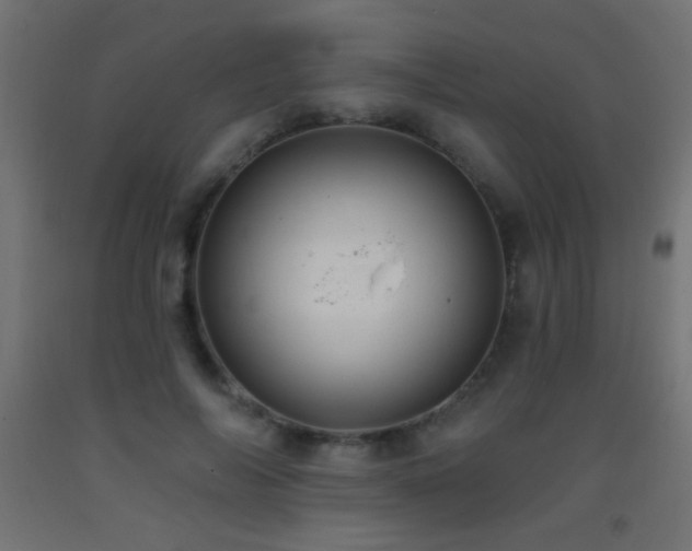 X0000093380694200710111455