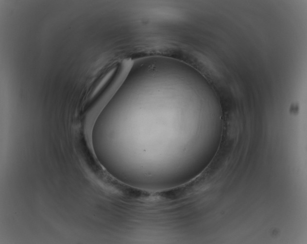 X0000093380695200710111455