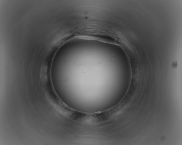 X0000093380696200710111455