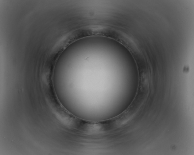X0000093380698200710111455