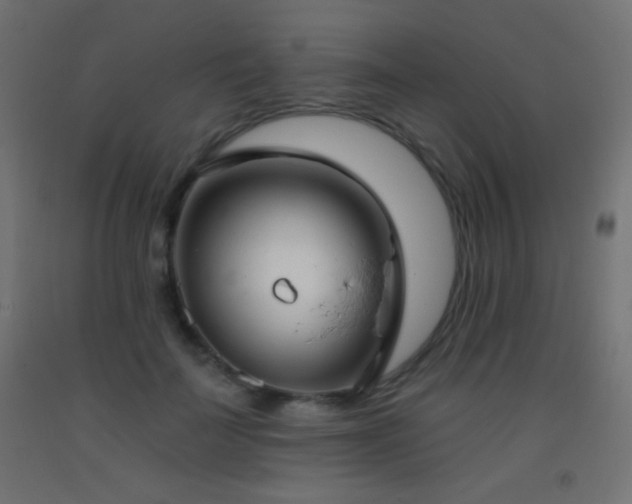 X0000093380699200710111455