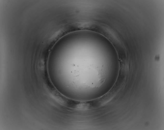 X0000093380700200710111455