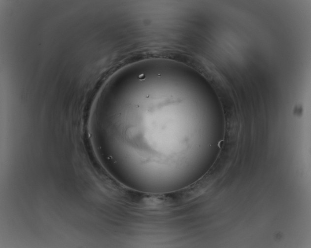 X0000093380703200710111455