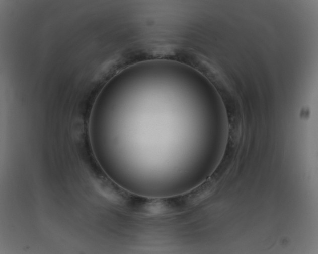 X0000093380704200710111455
