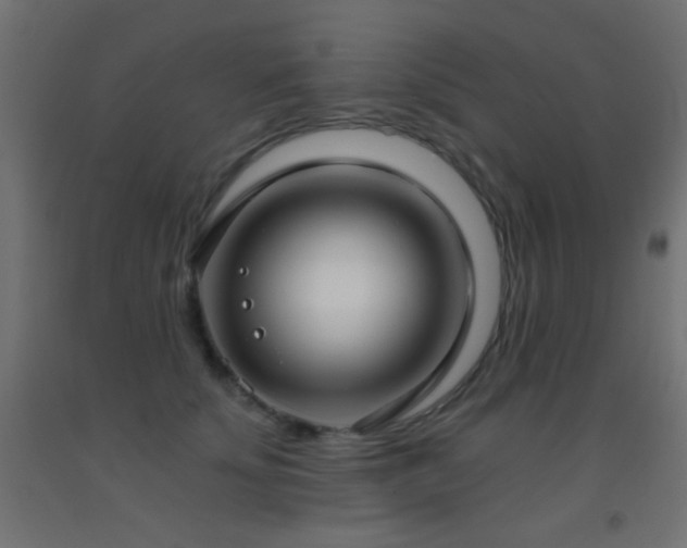 X0000093380707200710111455