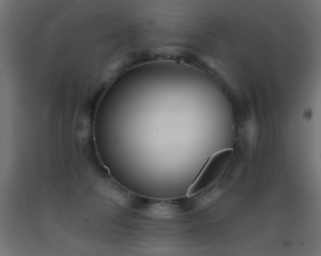 X0000093380708200710111455