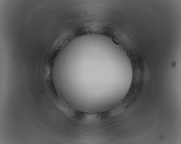 X0000093380709200710111455