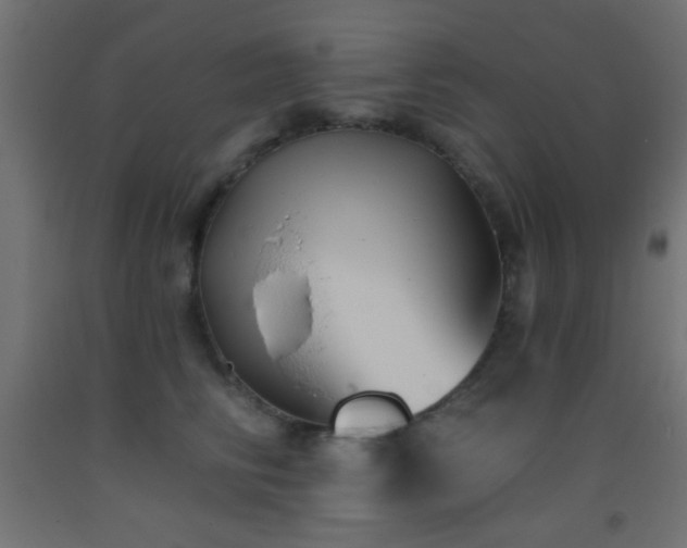 X0000093380710200710111455