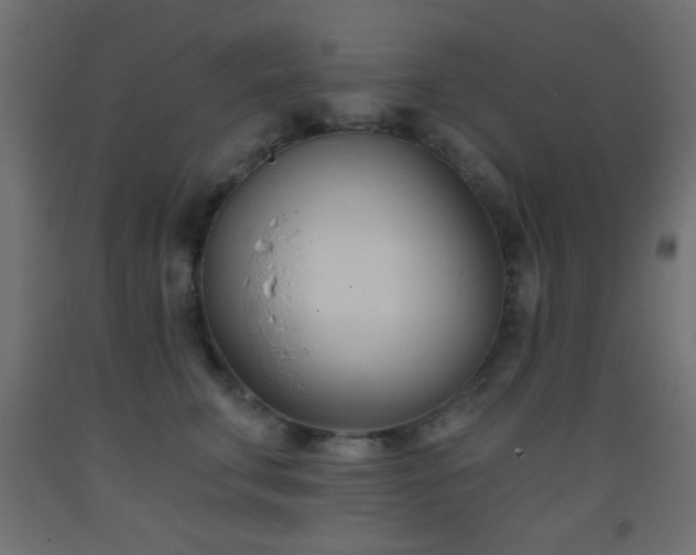 X0000093380711200710111455