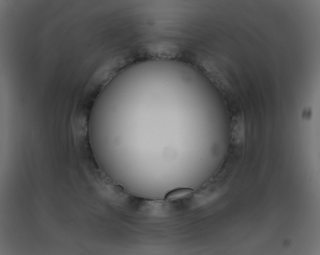 X0000093380713200710111455