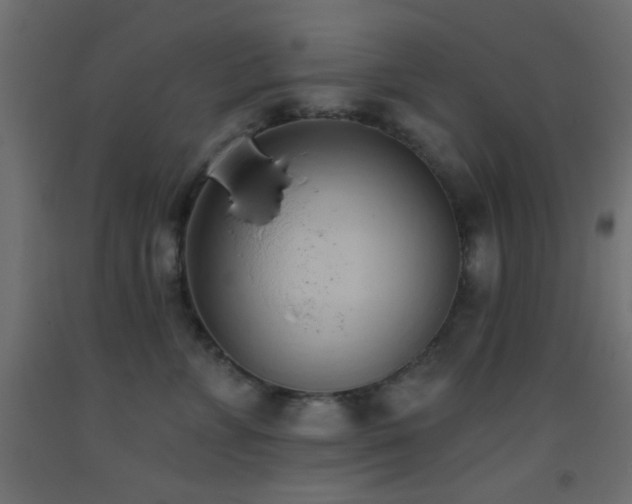 X0000093380715200710111455