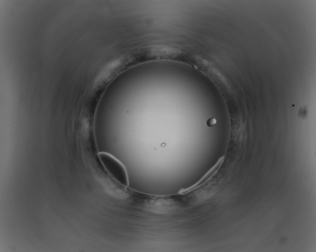 X0000093380716200710111455