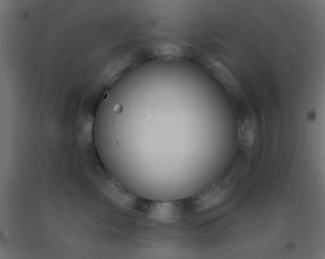 X0000093380717200710111455