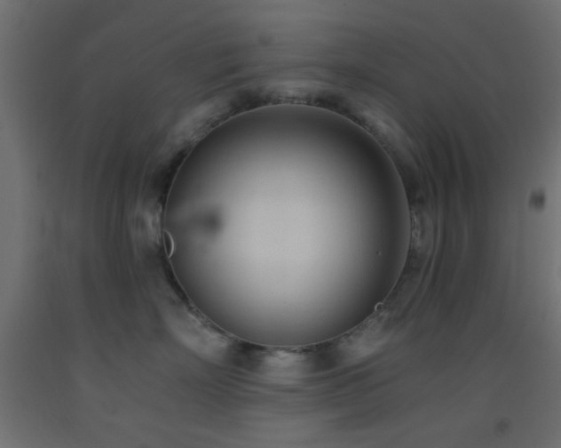 X0000093380718200710111455