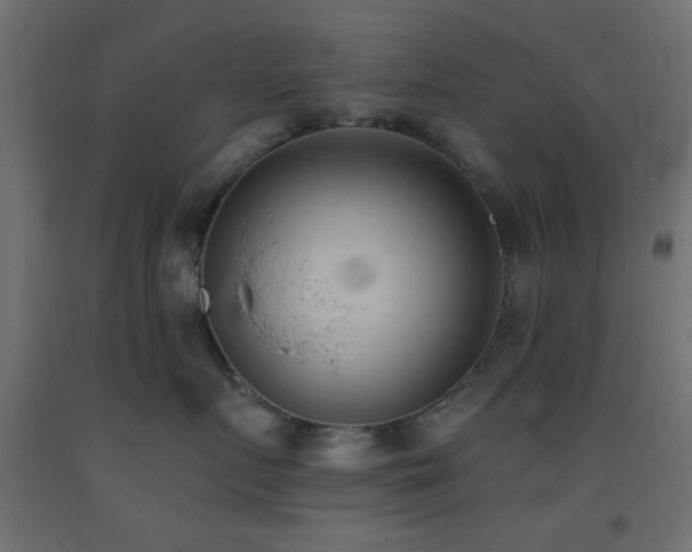 X0000093380719200710111455
