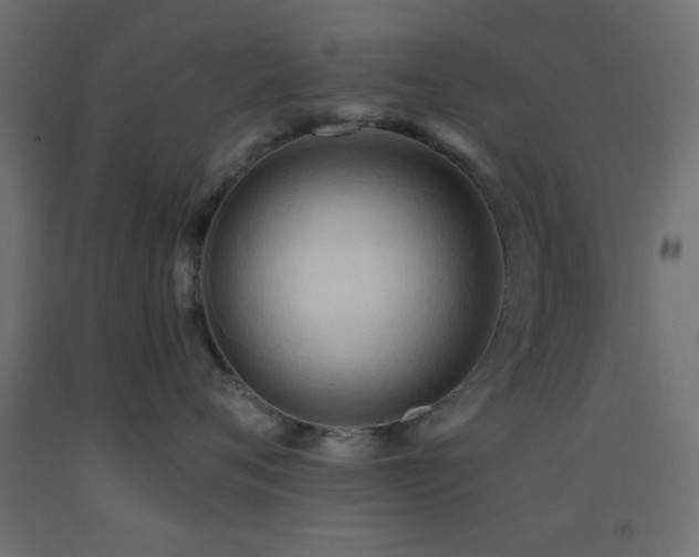 X0000093380720200710111455