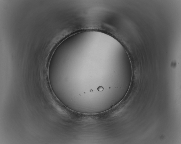 X0000093380721200710111455