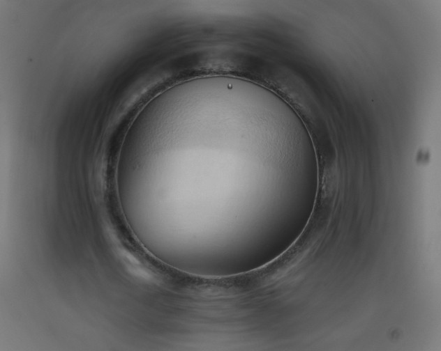 X0000093380722200710111455
