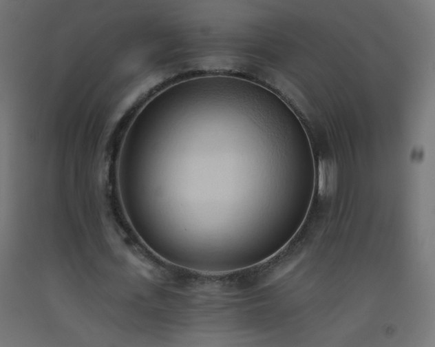X0000093380723200710111455