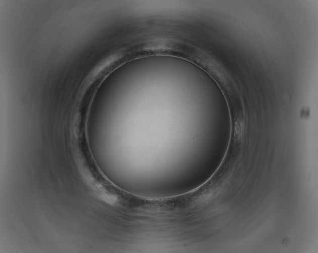 X0000093380724200710111455
