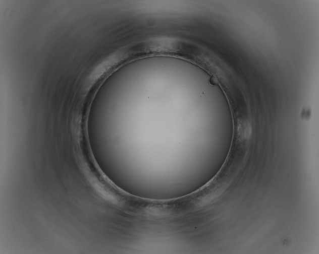 X0000093380725200710111455