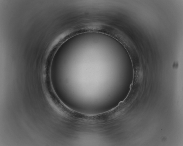 X0000093380726200710111455