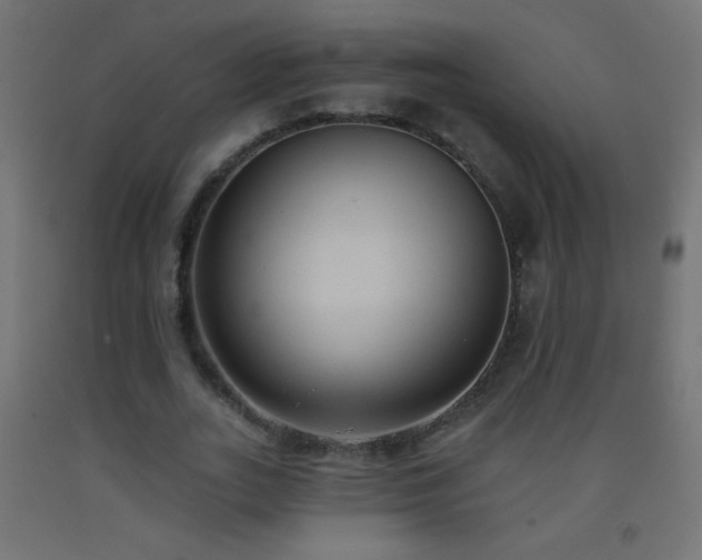X0000093380727200710111455