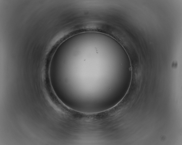 X0000093380728200710111455