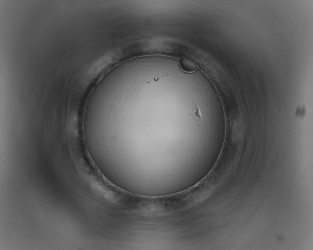 X0000093380729200710111455