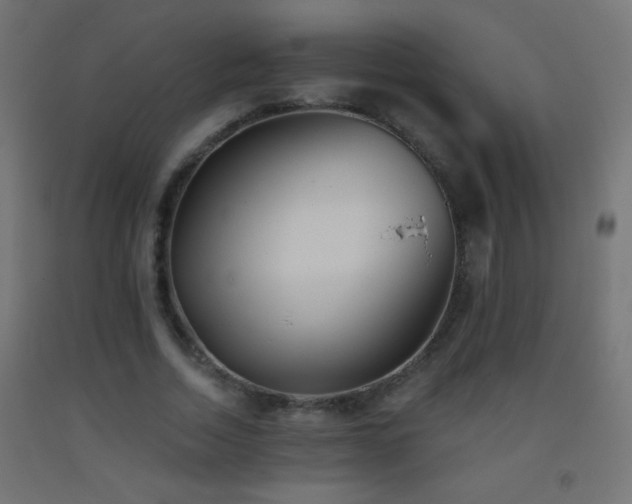 X0000093380730200710111455