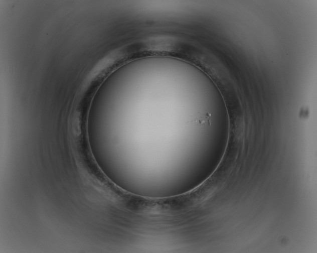 X0000093380731200710111455