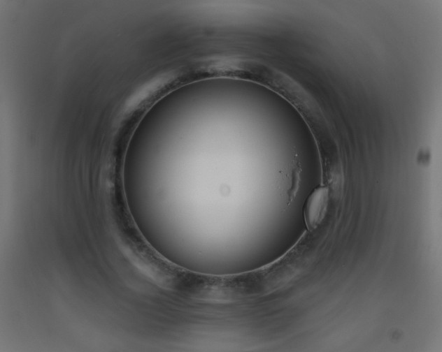 X0000093380732200710111455