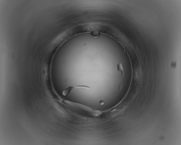 X0000093380733200710111455
